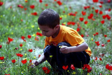 edenandink:  salahmah:  Spring in Afghanistan  this is so incredibly beautiful 