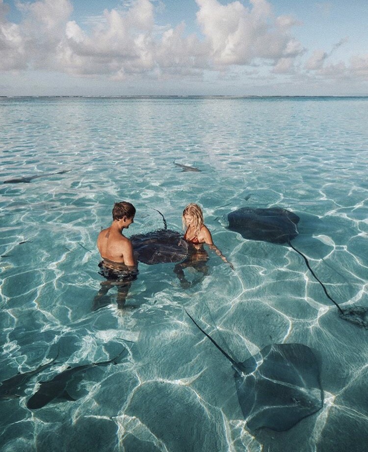 BALIVIBE