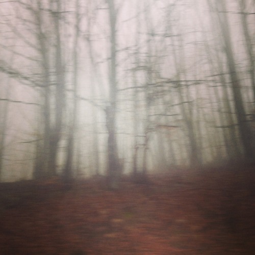 It’s Fine To Get Lost Sometimes.