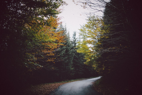 { Autumn Wandering }