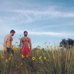 summerdiary: agliuk:  “Day after day we’d meet in the same field. Our relationship a complete secret. It wasn’t that it was considered &ldquo;not cool” that kept us hiding, gay wasn’t even a word for homosexual yet. It was that we would lose