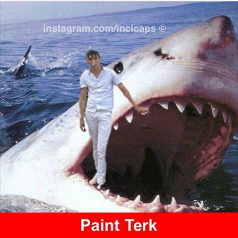 Paint Terk