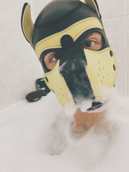pupbustermackenzie:how do puppies have the most fun by themselves after a long day? bubblebath! duh.