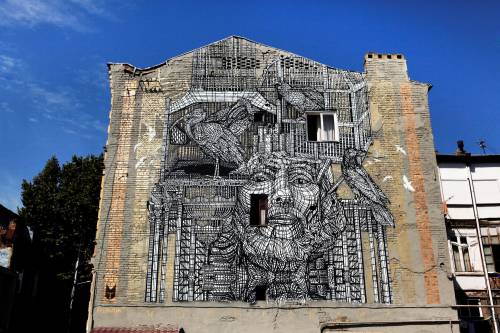 From Intricate Stencils To Vibrant Flowers, Nine New Murals Transform Blank Facades In Tbilisi