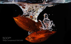 socialfoto:Seed Splash  by bastianhohl