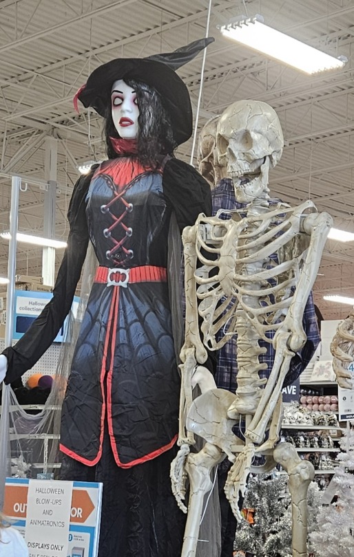 Ideal Relationship Dynamic, Tbh