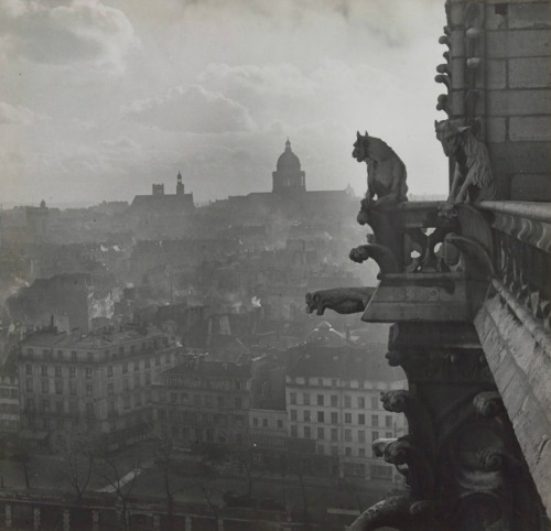 pierrotgourmand:La montagne sainte Geneviève, vue de Notre-Dame - Photographie d’Emmanu