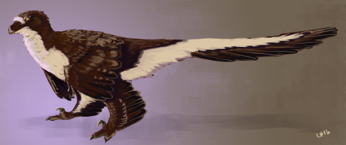 Paravian, based roughly on Dakotaraptor, though not necessarily perfectly accurate to that genus. Re