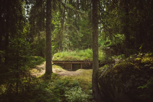 voiceofnature:  In the early 1800s a man named Little Jon lived in this so called earth cabin (swe. ‘backstuga’) located in southern Småland, Sweden. An earthen cabin is built partially buried in the ground, in this case there’s three walls of