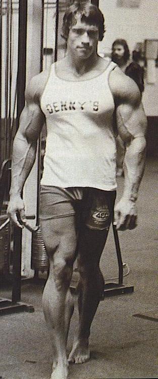 drmuscle:  http://drmuscle.tumblr.com