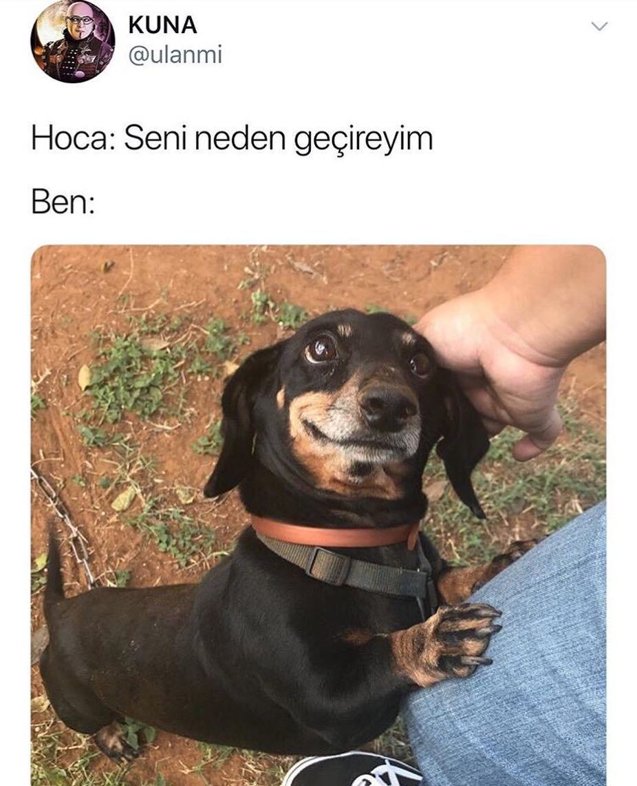 Hoca: seni neden geçireyim?
Ben: