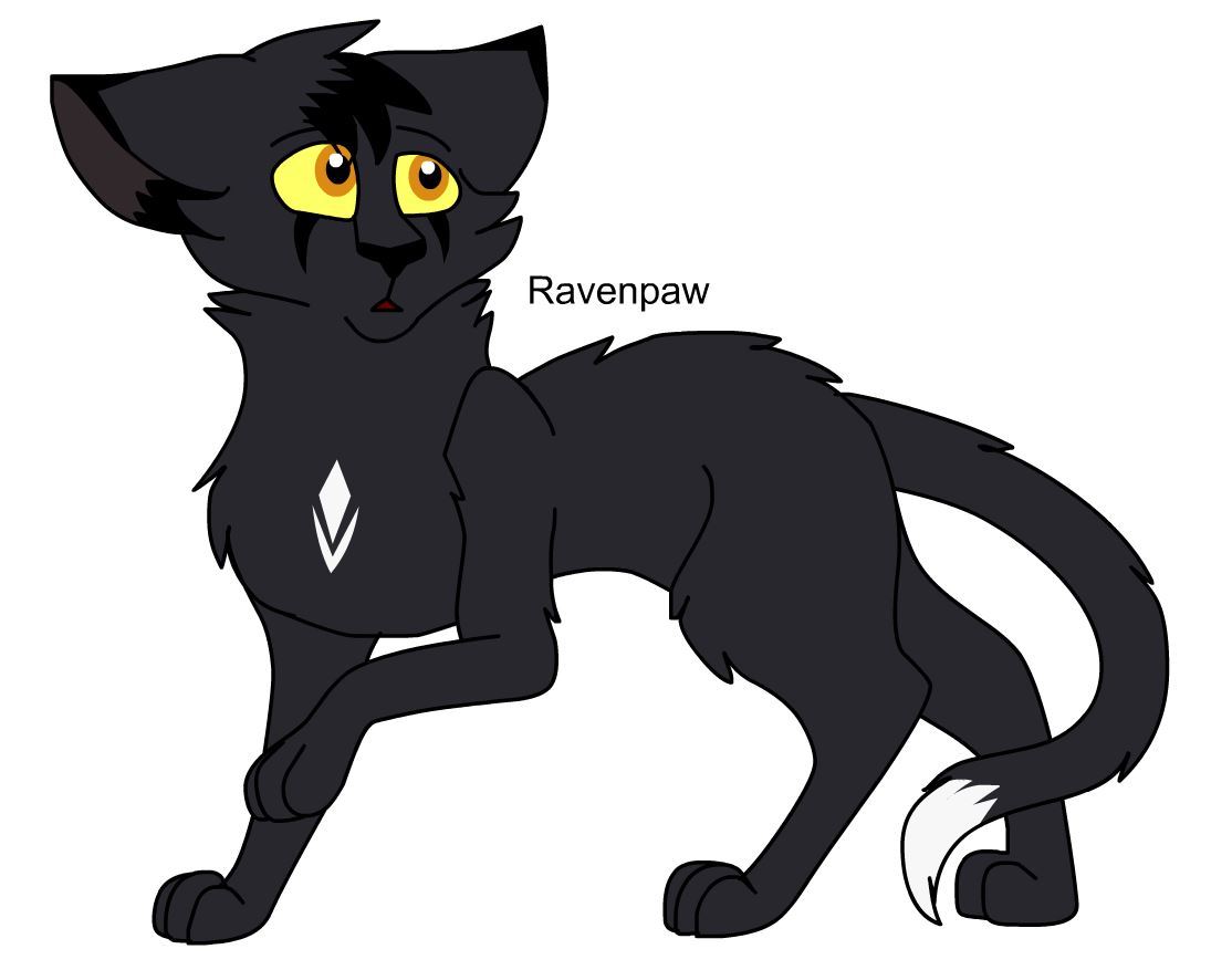 Ravenpaw (Warrior Cats) by Mekaska -- Fur Affinity [dot] net