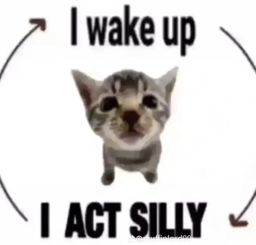 Me Me Me Me