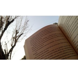 &ldquo;En realidad, no importaba de qué trataba el libro, lo importante era lo que significaba.&rdquo; ❤