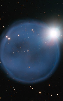 astronomicalwonders:  Planetary Nebula Abell