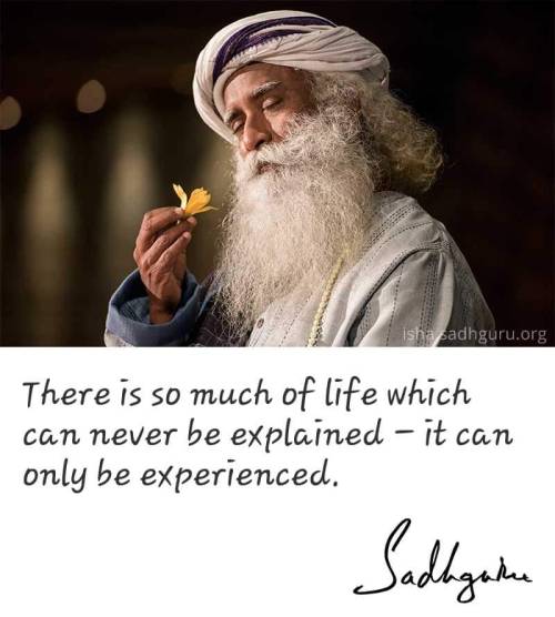 And This Is The Reason Why The Divine Manifested Itself Into Us, Human Beings, So That It May Know Itself