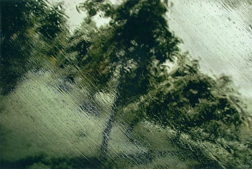 barcarole: I packed my bag without forgetting my camera and digital video camera. The rain keeps fal