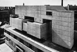 fuckyeahbrutalism:  Wolfson Institute, Hammersmith Hospital, London, UK, 1961 (Lyons, Israel &amp; Ellis) 