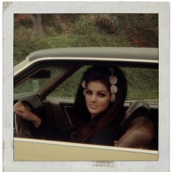 sophialorens:  Priscilla Presley, c. 1960s