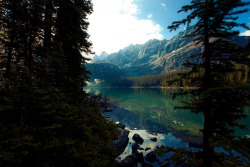 taarrad7in:  youthfulheartss:  touchdisky:  Lake O'Hara | Canada by Bibi Veth  subhanAllah  Sigh 