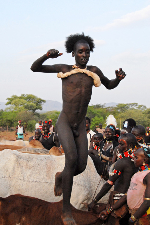 Hamar boy bull jumping, by Jean-Christophe porn pictures