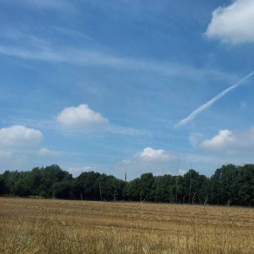 A #field, #clouds And A #cellular Tower #Technologiepark #Dortmund (en Studentenwohnheim Meitnerweg)