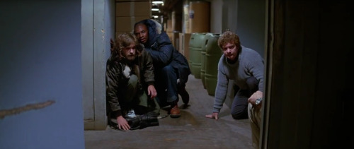 Halloween Series The Thing, 1982 Director - John CarpenterCinematography - Dean Cundey