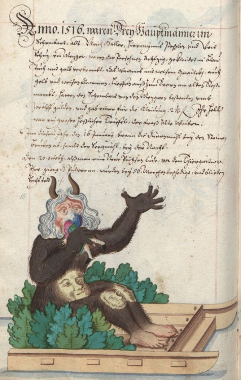 demonagerie: Universitätsbibliothek Kiel. Nürnberger Schembart-Buch, f. 157. 17th century