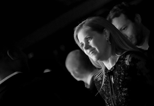 Amy Adams attends the 2016 National Board of Review Gala at Cipriani 42nd Street on January 4, 2017 