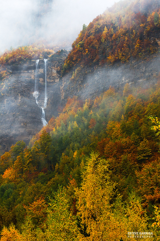 unwrittennature:  Fog (by Esteve Garriga) 