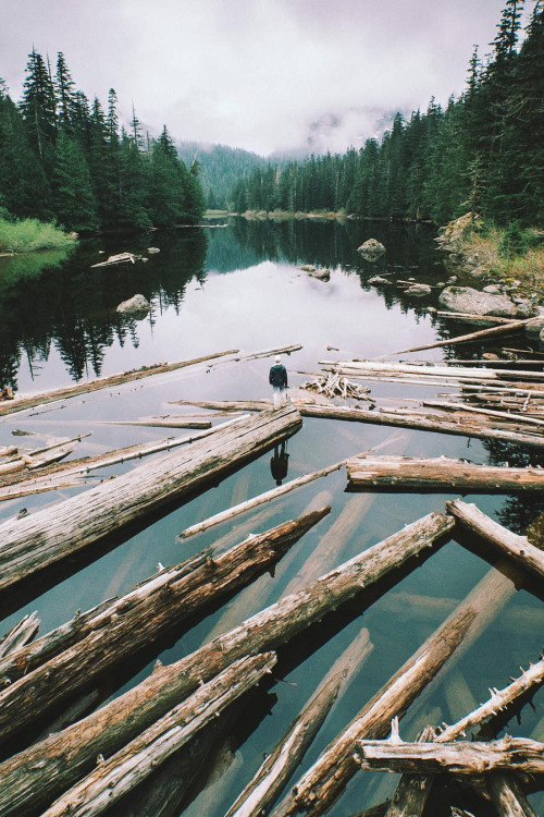 banshy:Barclay Lake // Ryan Brien