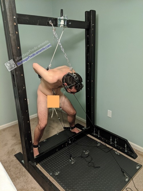 Can you find the elements of this intense predicament?  After a recent trip from Chicago for a weekend visit, this boy was definitely put through his paces. He had a decent amount of experience and had always seemed very open-minded and ready for just