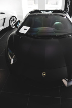 themanliness:  Lamborghini Aventador | Source