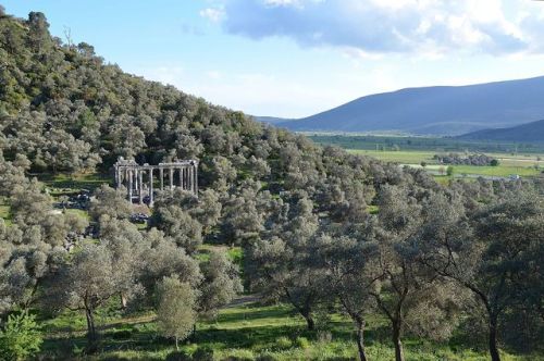 historyfilia: Temple of Zeus Lepsynus, 2nd century AD (Euromos, Turkey)