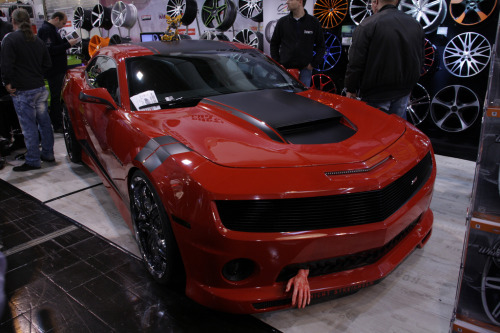 carpr0n:Roadkill Starring: Chevrolet Camaro SS (by jenskramer)