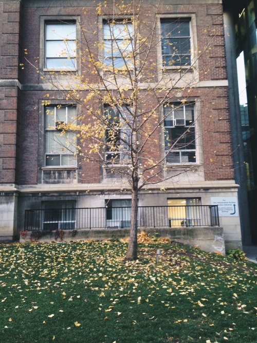 Toronto, November 11 2015