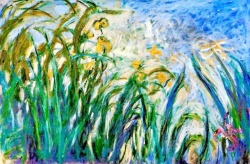 embriague-se-de-poesia:    Monet and Van Gogh x Irises  