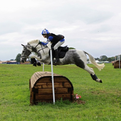 dinov-eventing: This will forever be my favourite photo