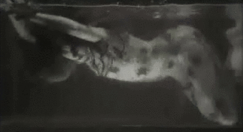 α