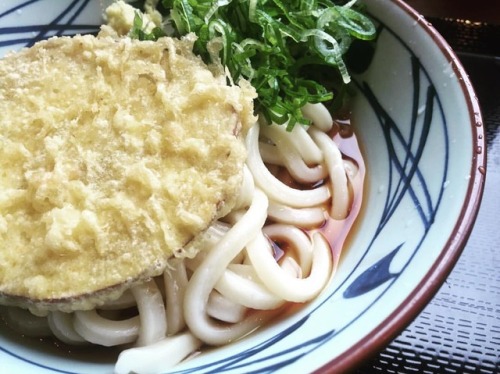 さつま天ぶっかけうどんσ(￣、￣=) 丸亀製麺（伊勢原） #noodles #udon #lunch #うどん