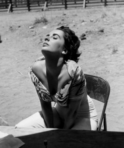 denisebefore:  Liz sunning herself avery 1955