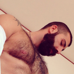 hairyfuckers:  That’s one hairy fucker.