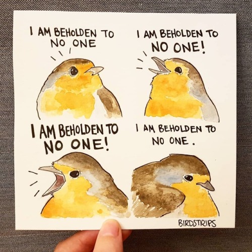 Bird no. 311. I am beholden to no one..I woke up and remembered I’d cleared my calendar..I rev