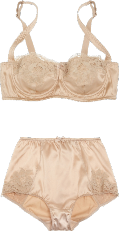Porn transparent-lingerie:  Dolce & Gabbana: bra, photos