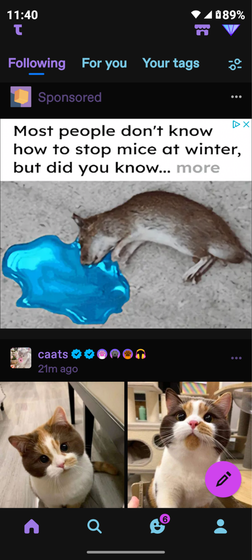 Tumblr media
