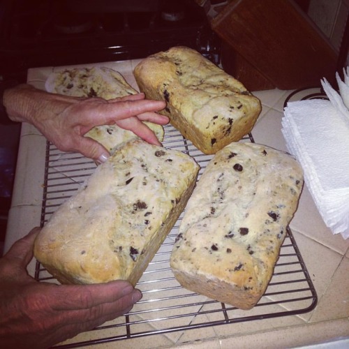 My mom, Martha and I made olive bread. My aunt Georgette picked and cured the olives. We are Greek!!