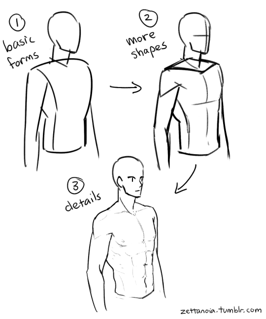 Learn Anatomy to Improve Drawing the Human Body | Art Rocket