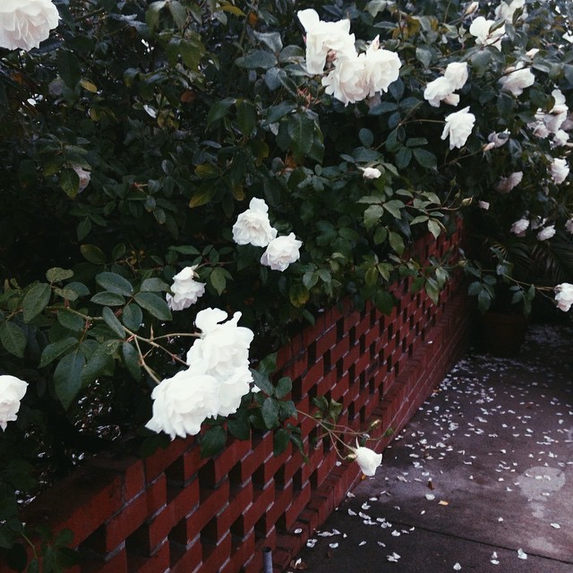 lonely for you only