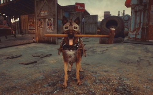 [Dogmeat found something]