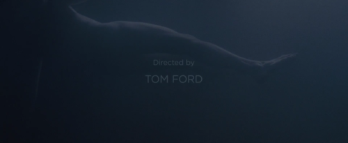 moviesframes:  A Single Man (2009)Directed by Tom FordCinematography by Eduard Grau